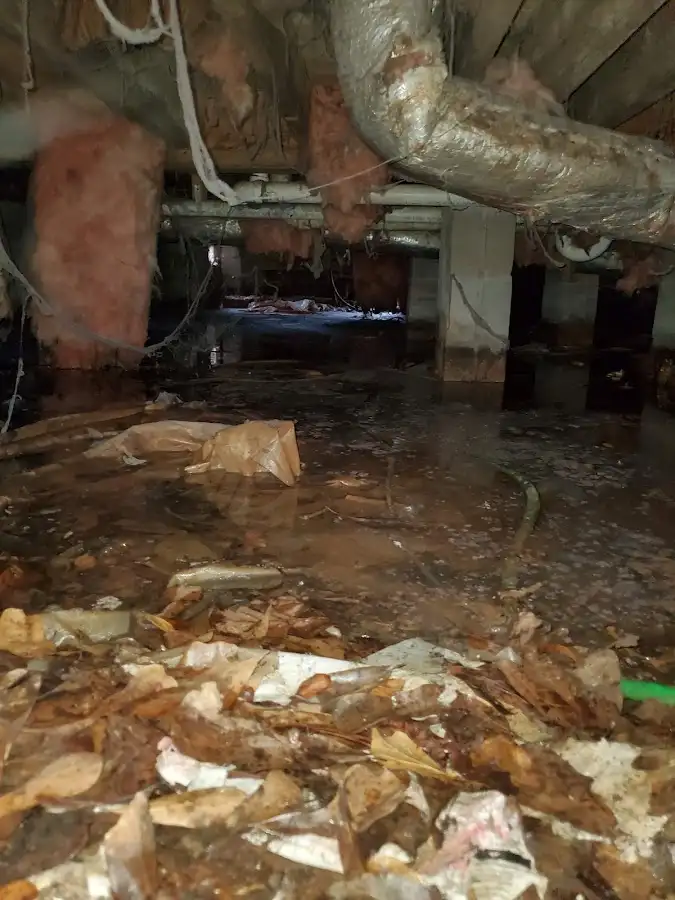 Crawl space flood assessment for Leak Detection & Repair in Lilburn